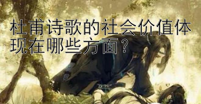 杜甫诗歌的社会价值体现在哪些方面？