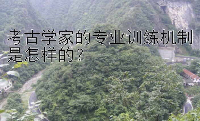 考古学家的专业训练机制是怎样的？