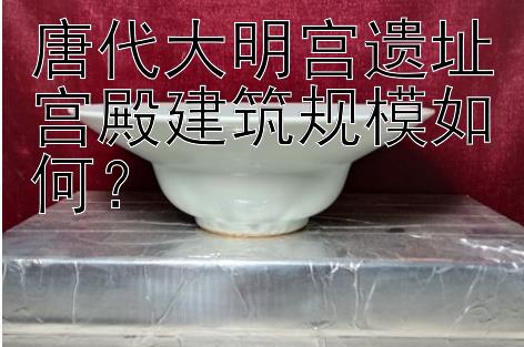 唐代大明宫遗址宫殿建筑规模如何？