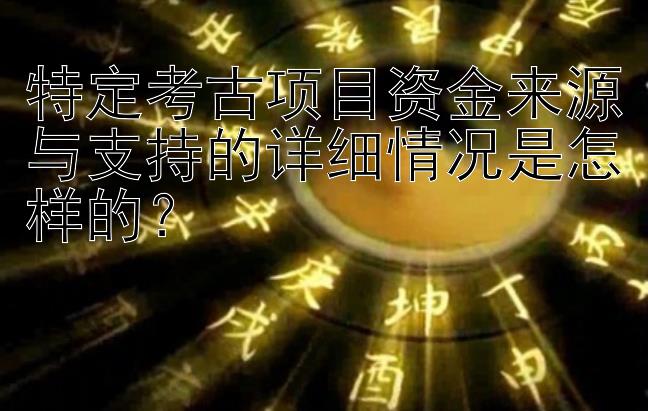 特定考古项目资金来源与支持的详细情况是怎样的？