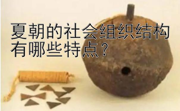 夏朝的社会组织结构有哪些特点？