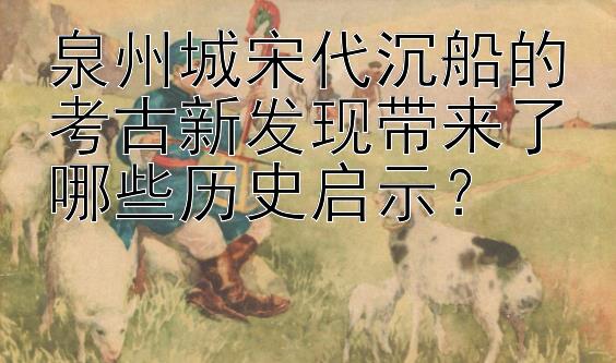 泉州城宋代沉船的考古新发现带来了哪些历史启示？