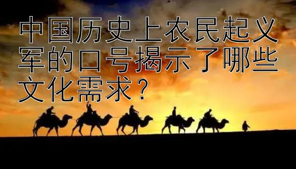 中国历史上农民起义军的口号揭示了哪些文化需求？