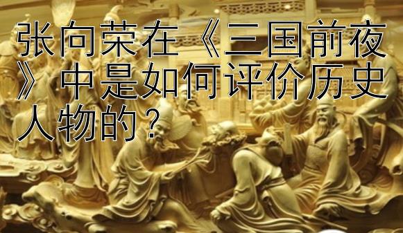 张向荣在《三国前夜》中是如何评价历史人物的？