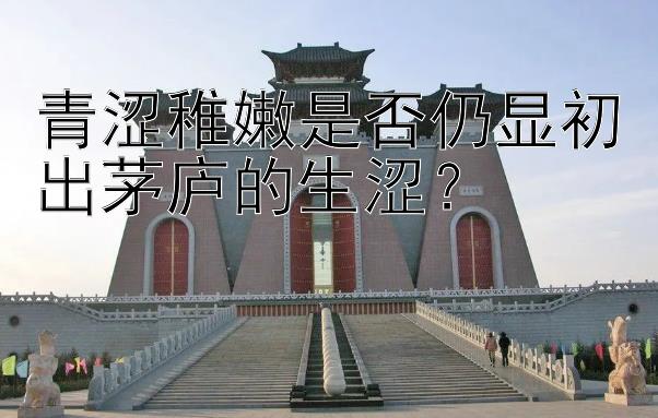 青涩稚嫩是否仍显初出茅庐的生涩？