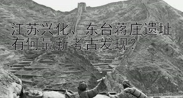 江苏兴化东台蒋庄遗址有何最新考古发现？