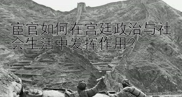 宦官如何在宫廷政治与社会生活中发挥作用？