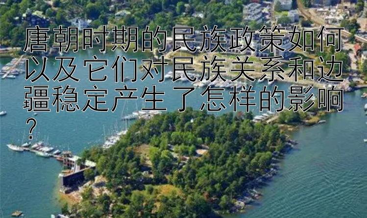 唐朝时期的民族政策如何以及它们对民族关系和边疆稳定产生了怎样的影响？