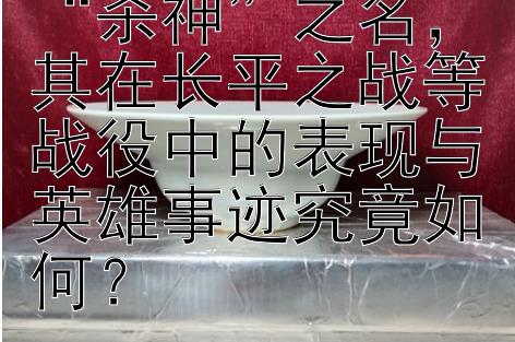 白起何以被冠以“杀神”之名，其在长平之战等战役中的表现与英雄事迹究竟如何？