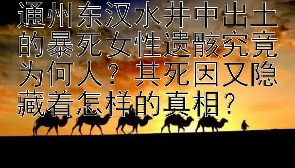 通州东汉水井中出土的暴死女性遗骸究竟为何人？其死因又隐藏着怎样的真相？