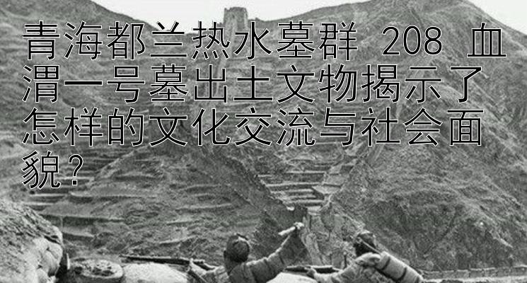 青海都兰热水墓群 208 血渭一号墓出土文物揭示了怎样的文化交流与社会面貌？