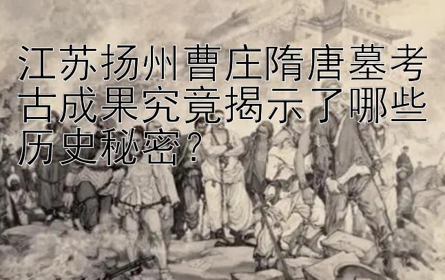 江苏扬州曹庄隋唐墓考古成果究竟揭示了哪些历史秘密？