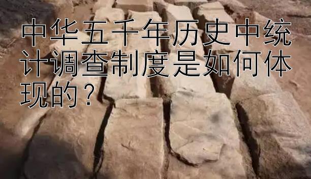 中华五千年历史中统计调查制度是如何体现的？