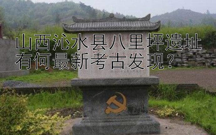 山西沁水县八里坪遗址有何最新考古发现？